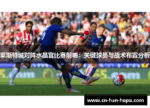 莱斯特城对阵水晶宫比赛前瞻:关键球员与战术布置分析 莱斯特城对阵水晶宫比赛前瞻:关键球员与战术布置分析