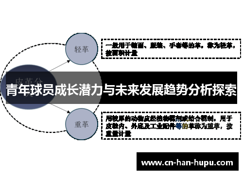 青年球员成长潜力与未来发展趋势分析探索
