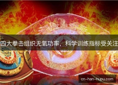 四大拳击组织无氧功率，科学训练指标受关注